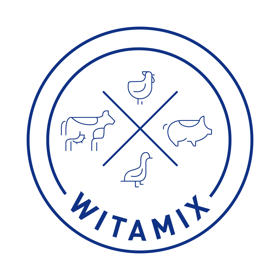 WITAMIX logo